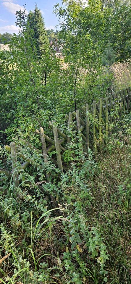 Działka rekreacyjna Dłusko. Zdjęcie 5