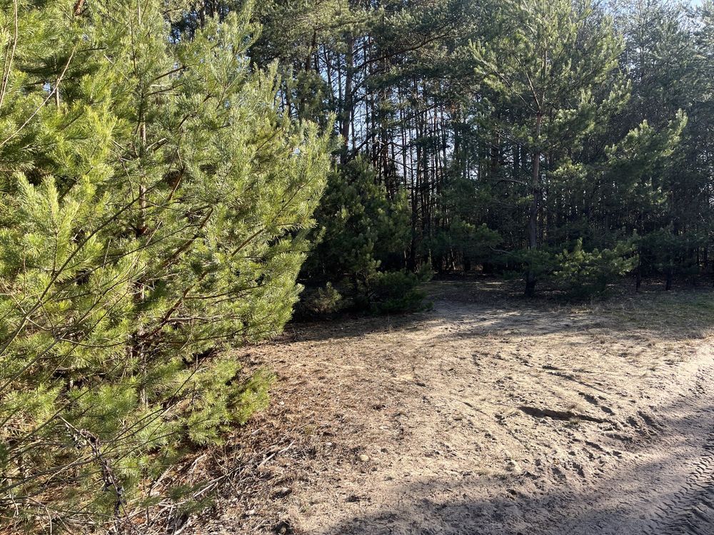 Działka inna Cychrowska Wola. Zdjęcie 3