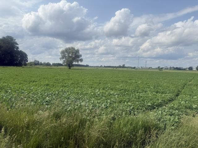 Działka rolna Brwinów, ul. Łąkowa. Zdjęcie 2