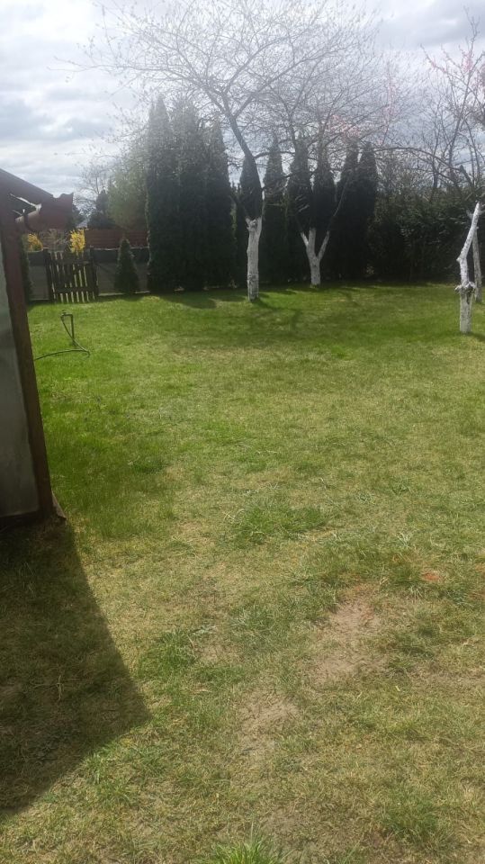 Działka rod Sępólno Krajeńskie. Zdjęcie 5