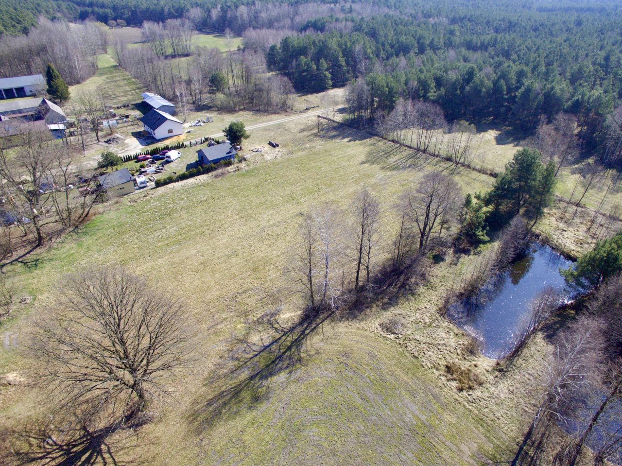 Działka rolno-budowlana Józefów Widawski. Zdjęcie 6