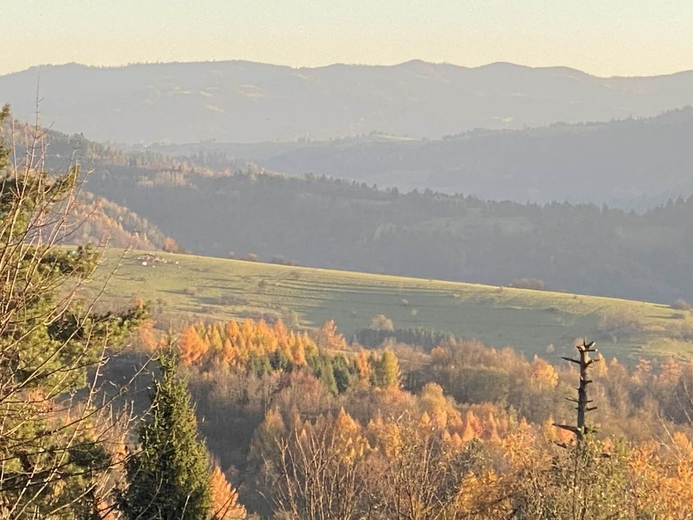 Działka rekreacyjna Krościenko nad Dunajcem. Zdjęcie 3
