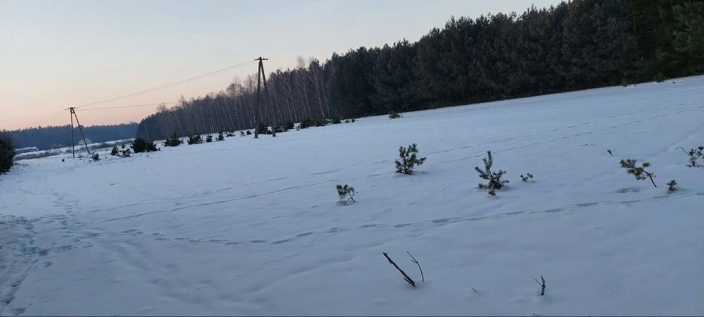 Działka rolna Łokietnica. Zdjęcie 8