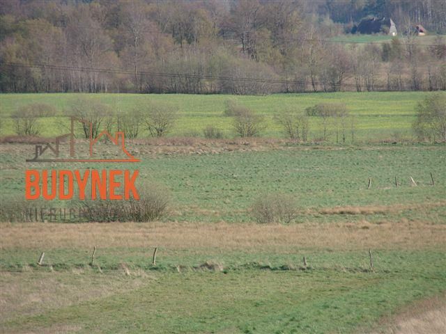 Działka rolna Karsino. Zdjęcie 4