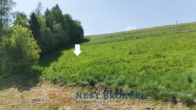 Działka budowlana Jordanów. Zdjęcie 10