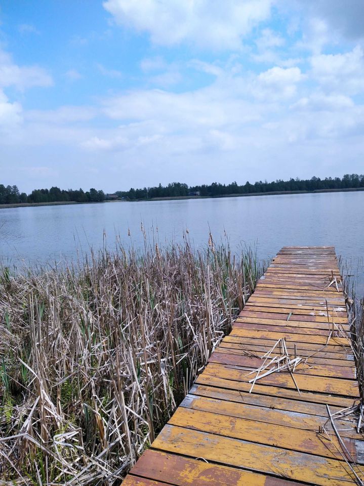 Działka rekreacyjna Grabniak. Zdjęcie 2