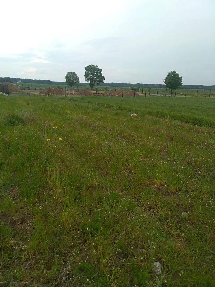 Działka budowlana Kobyle. Zdjęcie 5