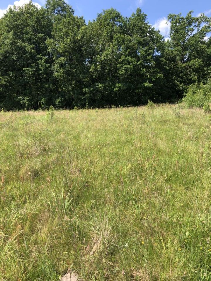 Działka budowlana Benenard, ul. Bukowa. Zdjęcie 5