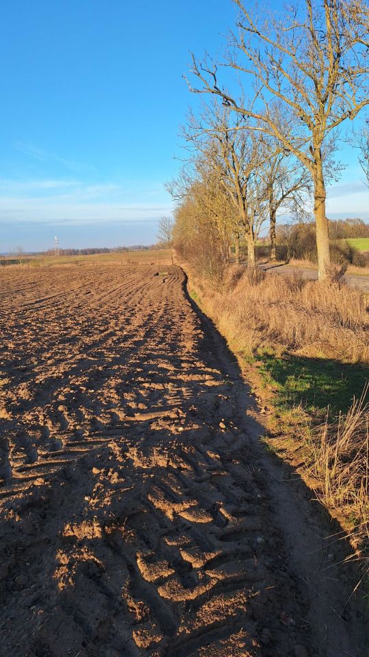 Działka rolna Włosty. Zdjęcie 6