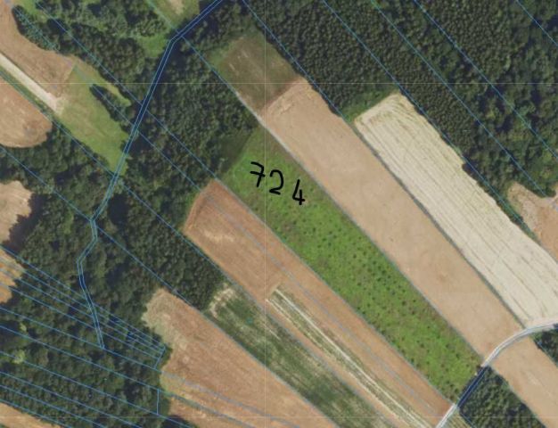 Działka leśna Wólka Batorska. Zdjęcie 1