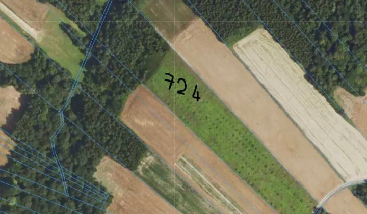 Działka leśna Wólka Batorska