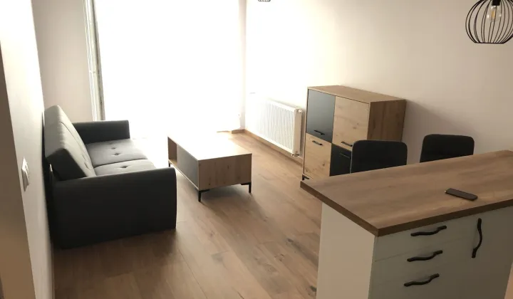 Mieszkanie 2-pokojowe Katowice Kostuchna, ul. Bażantów