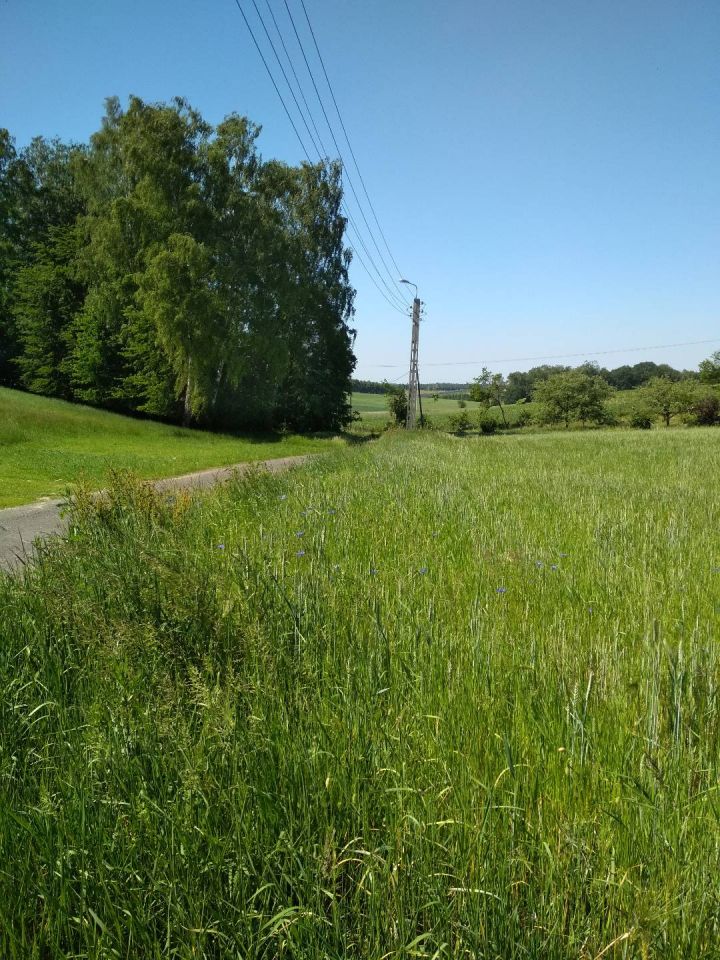 Działka budowlana Żory Rój, ul. Świerklańska