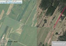 Działka rolna Poręba Niwki. Zdjęcie 2