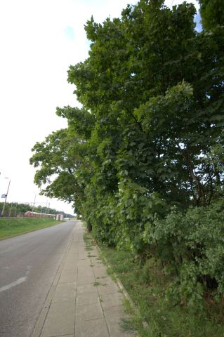 Działka budowlana Warszawa Choszczówka, ul. Piwoniowa. Zdjęcie 1
