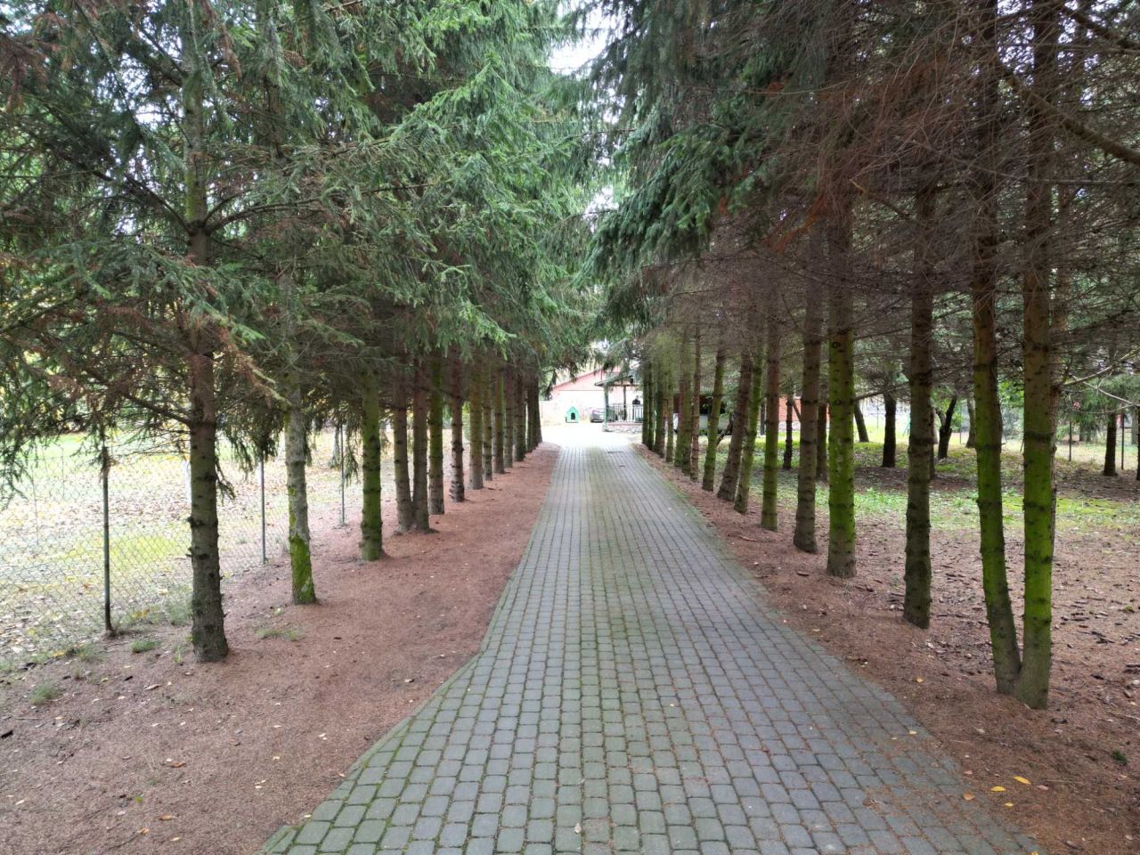 dom wolnostojący, 3 pokoje Żabno. Zdjęcie 7