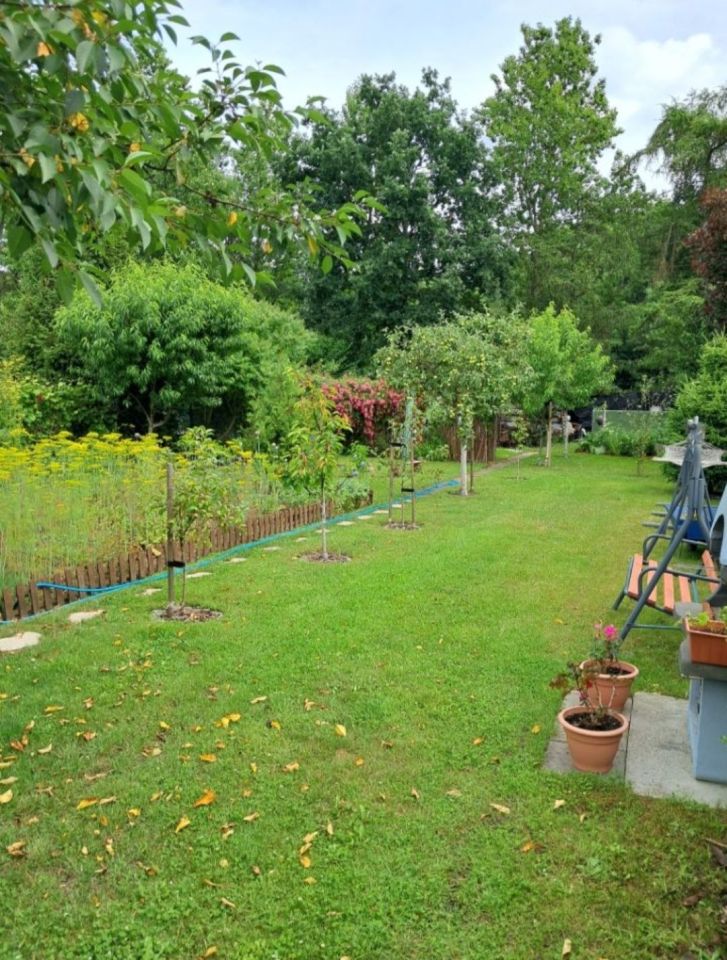 Działka rod Gdańsk Klukowo. Zdjęcie 5