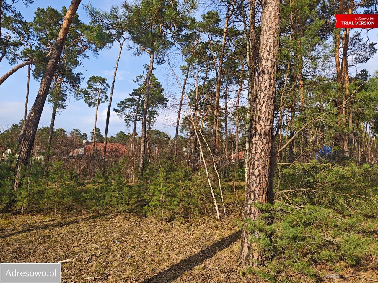 Działka budowlana Łask Kolumna, ul. Wojska Polskiego. Zdjęcie 14