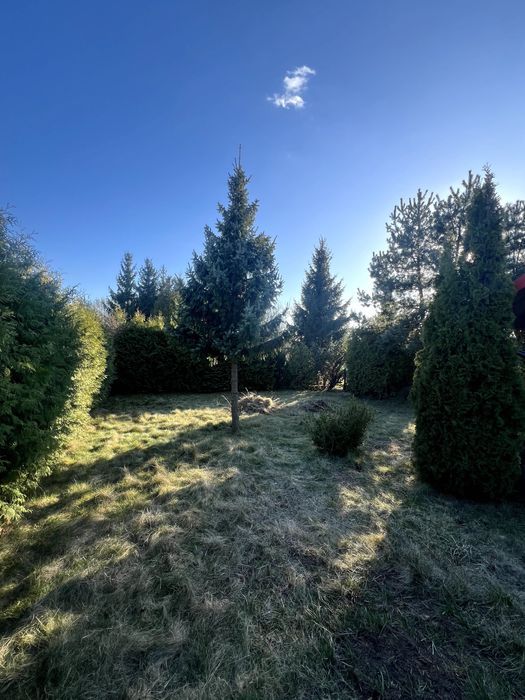 Działka rod Wałcz. Zdjęcie 6