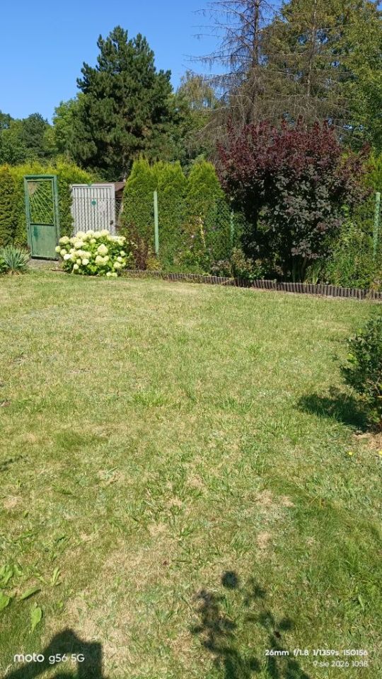 Działka rod Chorzów Batory, ul. Podmiejska. Zdjęcie 8