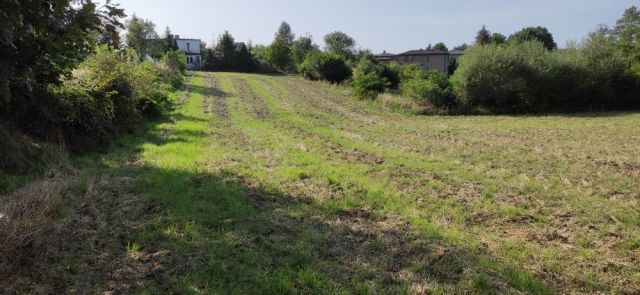 Działka budowlana Rybnik Radziejów. Zdjęcie 1