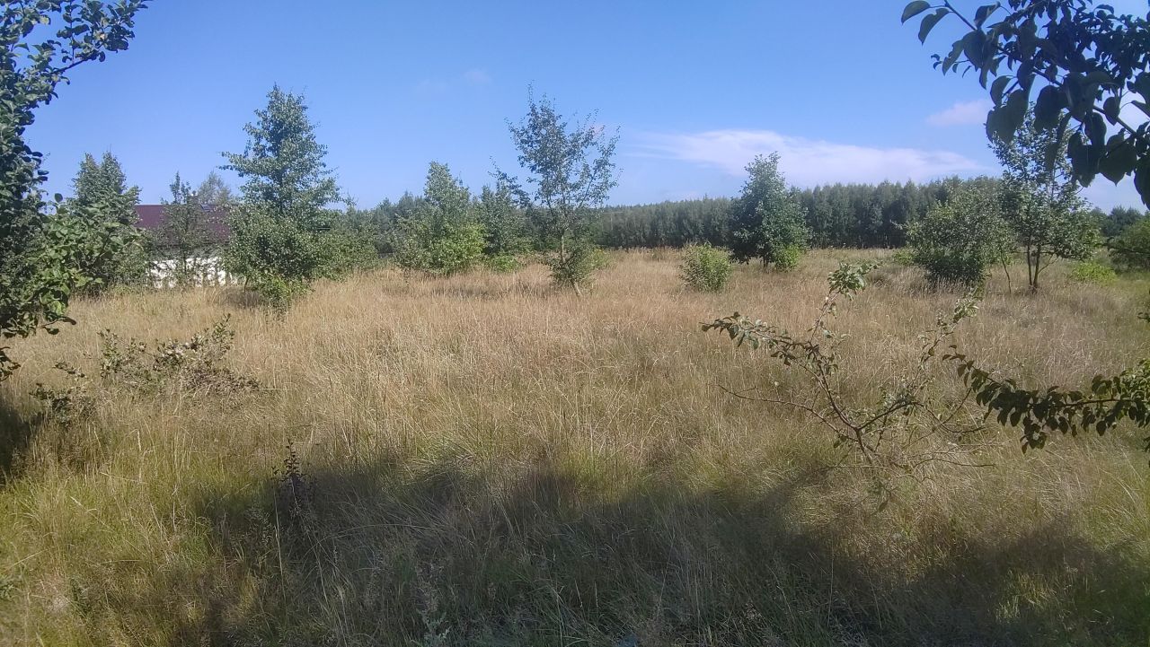 Działka budowlana Udrzyn. Zdjęcie 2