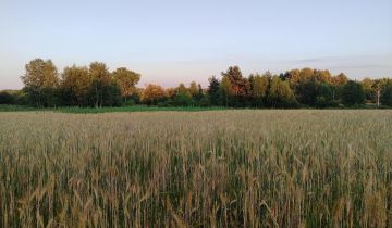 Działka rolno-budowlana Luszowice Brzezinki, ul. Xawerego Dunikowskiego