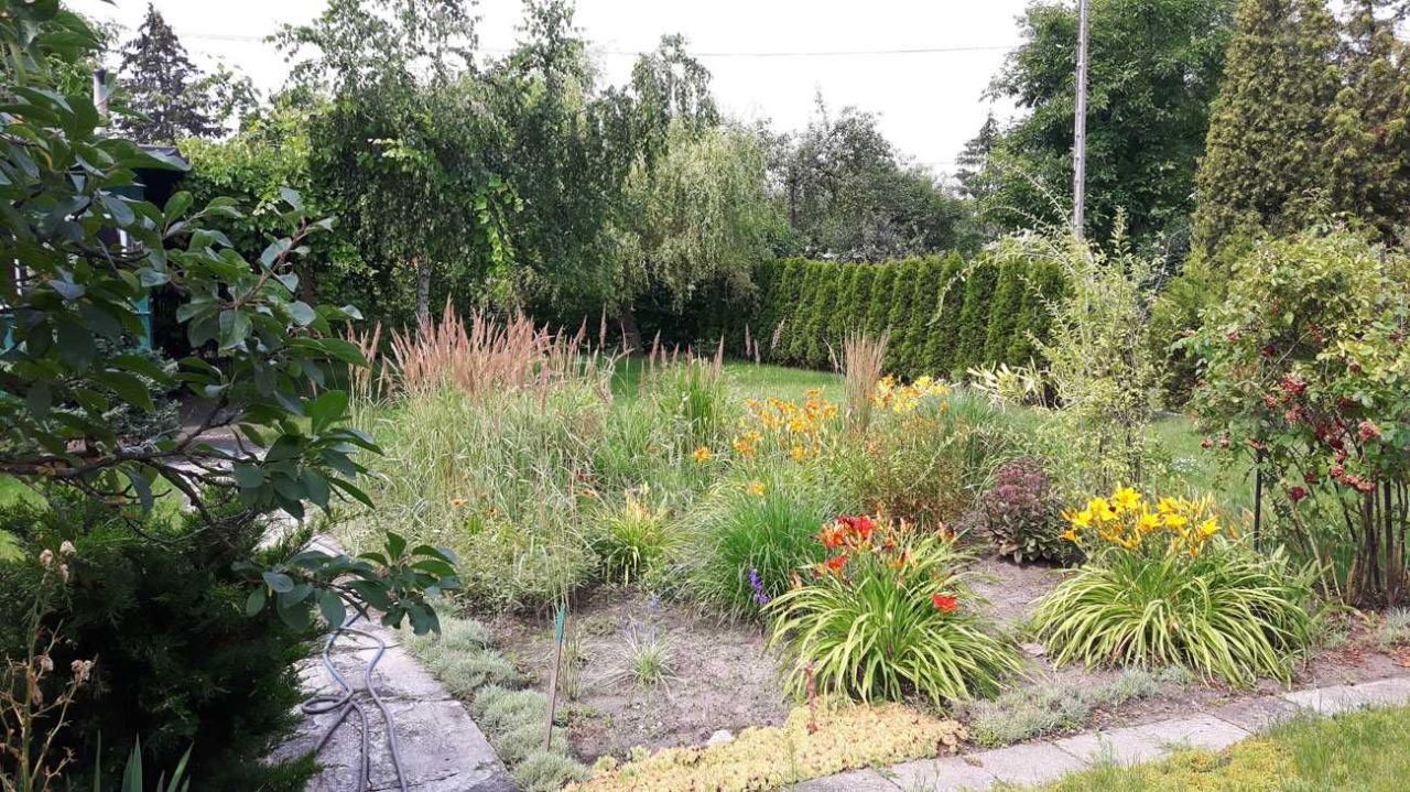 Działka rod Warszawa Targówek, ul. Odrowąża. Zdjęcie 3