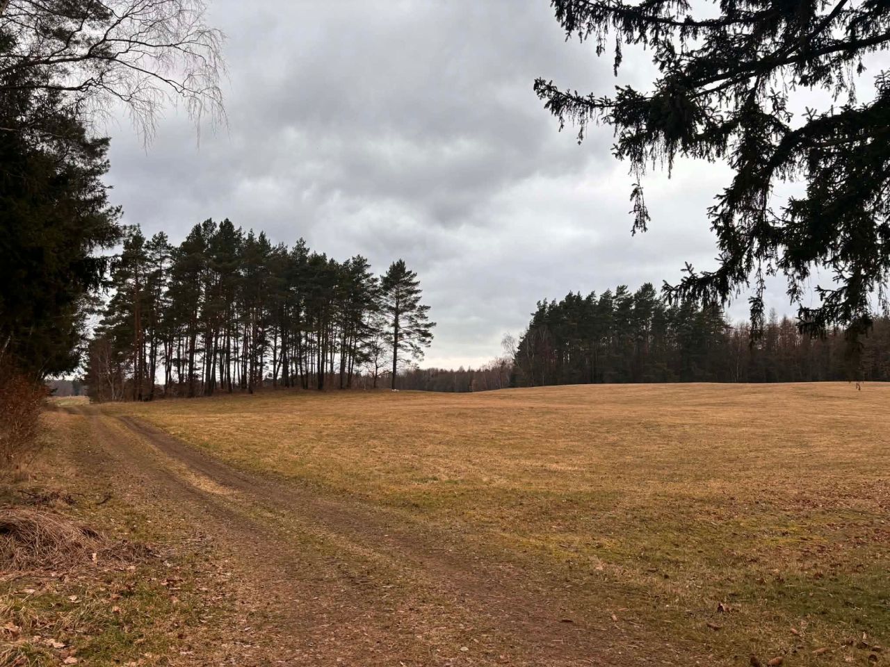 Działka rolna Żelisławie. Zdjęcie 3