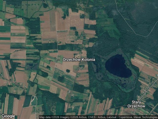 Działka rekreacyjna Orzechów-Kolonia. Zdjęcie 1
