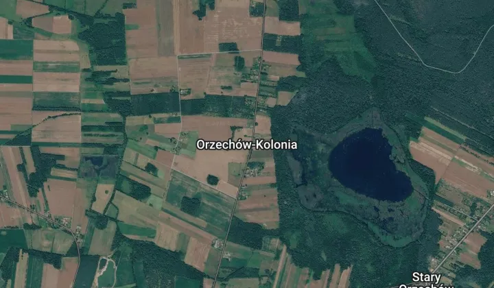 Działka rekreacyjna Orzechów-Kolonia