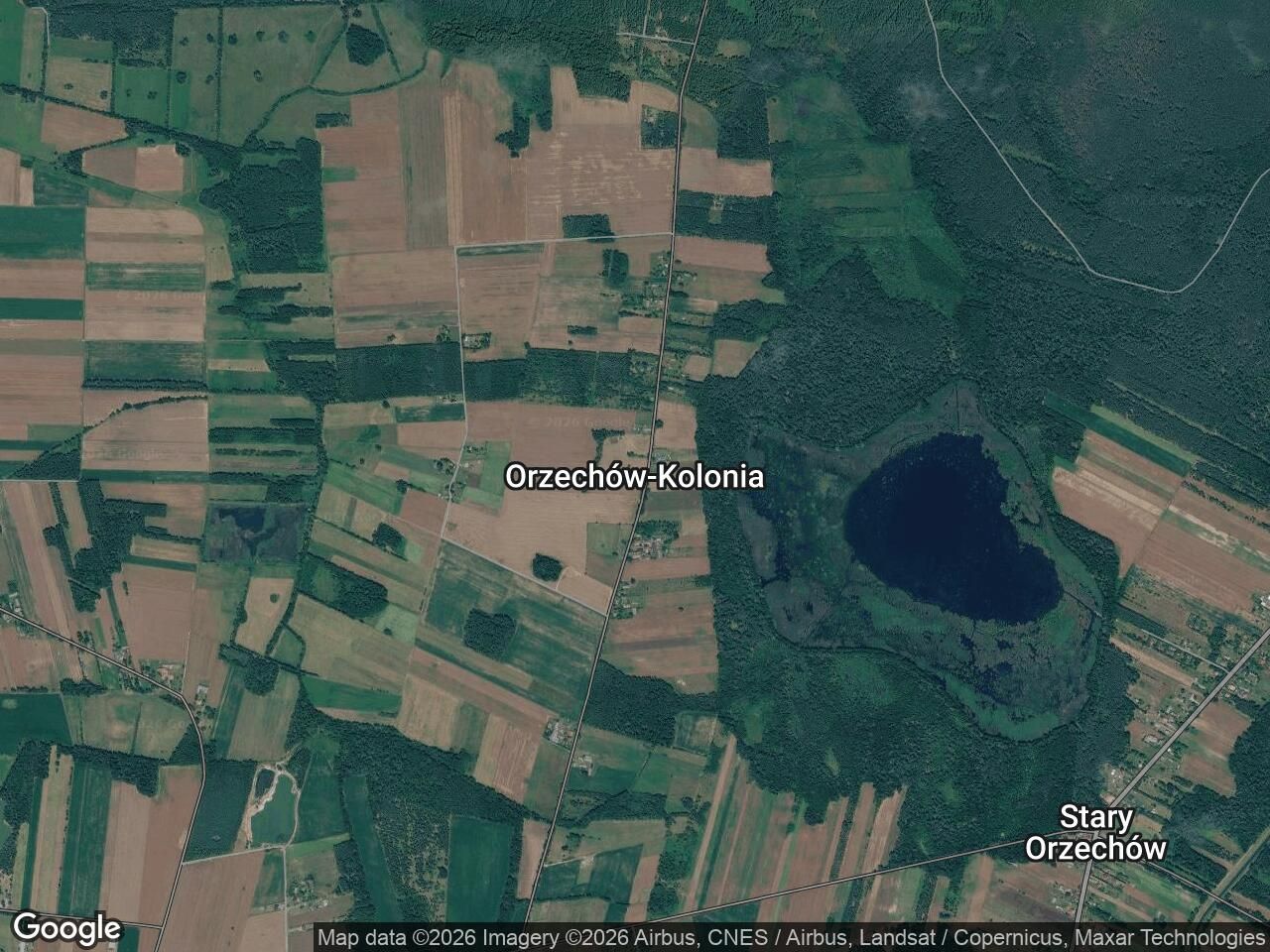Działka rekreacyjna Orzechów-Kolonia. Zdjęcie 1