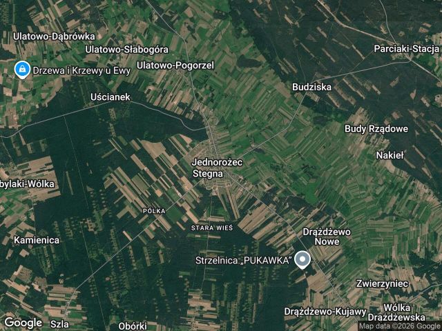 Działka rolna Jednorożec. Zdjęcie 1