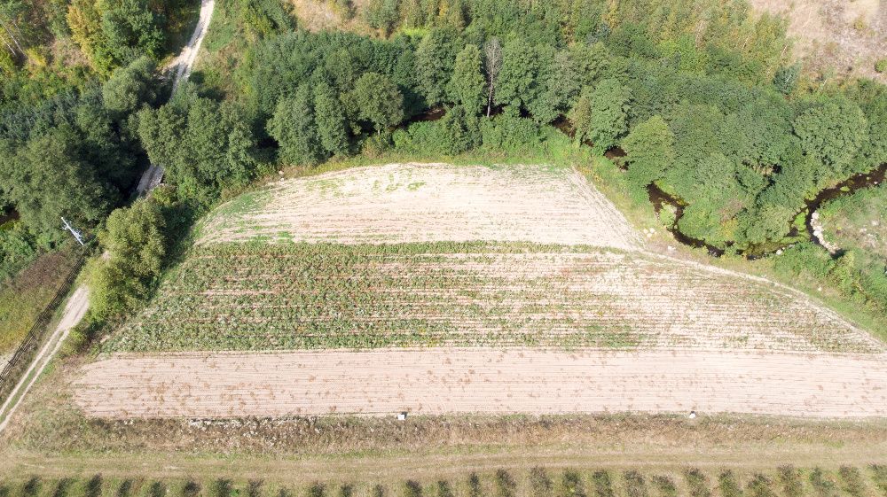 Działka budowlana Miesiączkowo. Zdjęcie 7