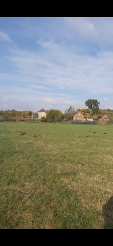 Działka rolna Pawłówek, Łąkowa. Zdjęcie 8