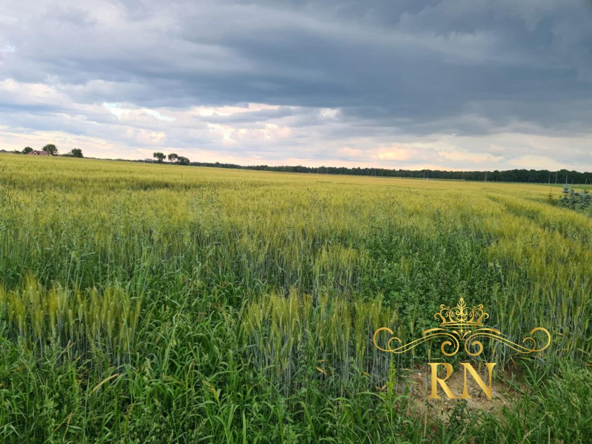 Działka budowlana Sobieszczany-Kolonia. Zdjęcie 10