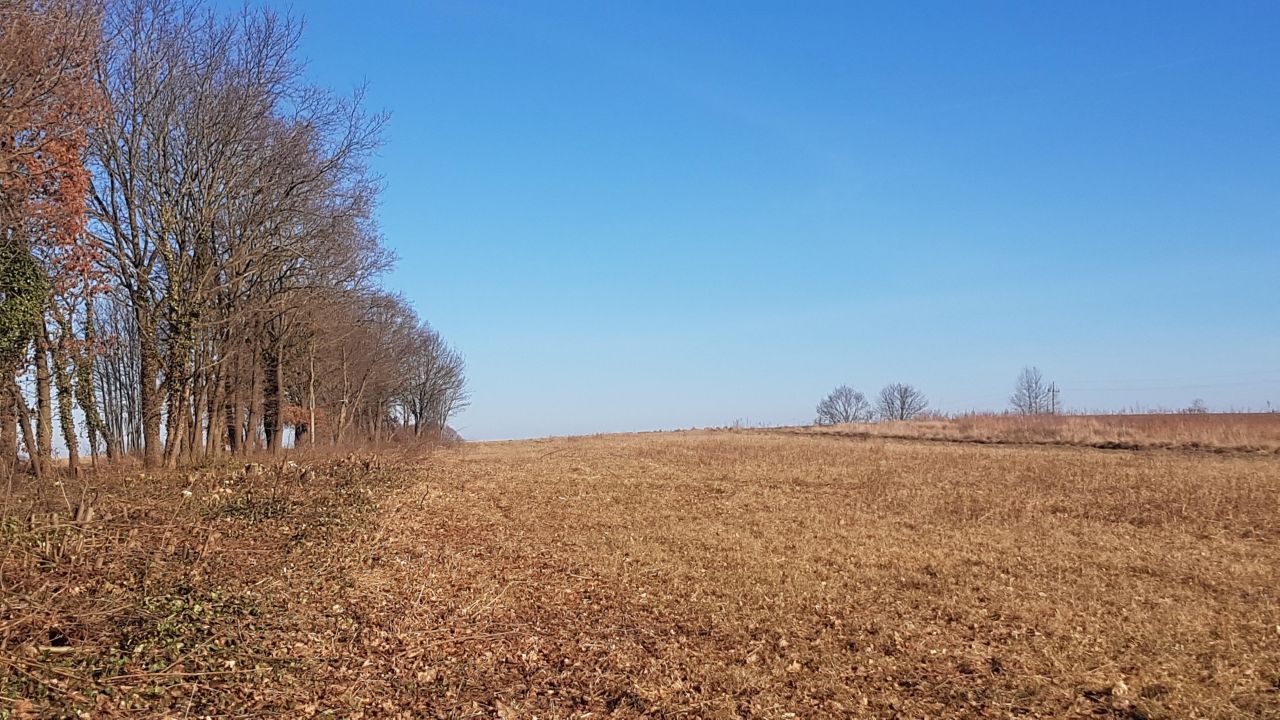 Działka rolna Dargikowo. Zdjęcie 6