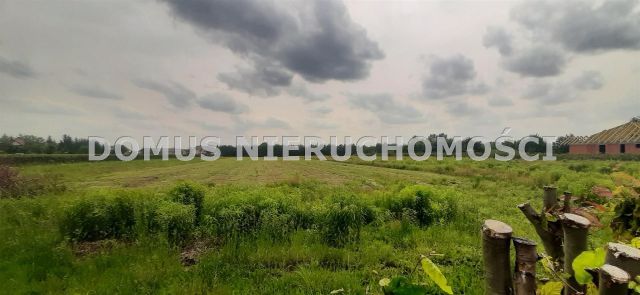 Działka budowlana Brzeziny, ul. Leśna. Zdjęcie 1