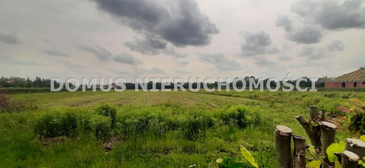 Działka budowlana Brzeziny, ul. Leśna