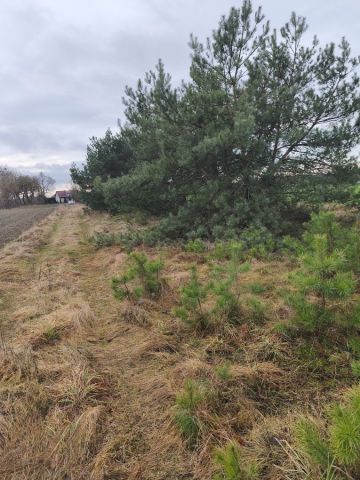 Działka budowlana Lipa. Zdjęcie 1