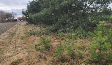 Działka budowlana Lipa