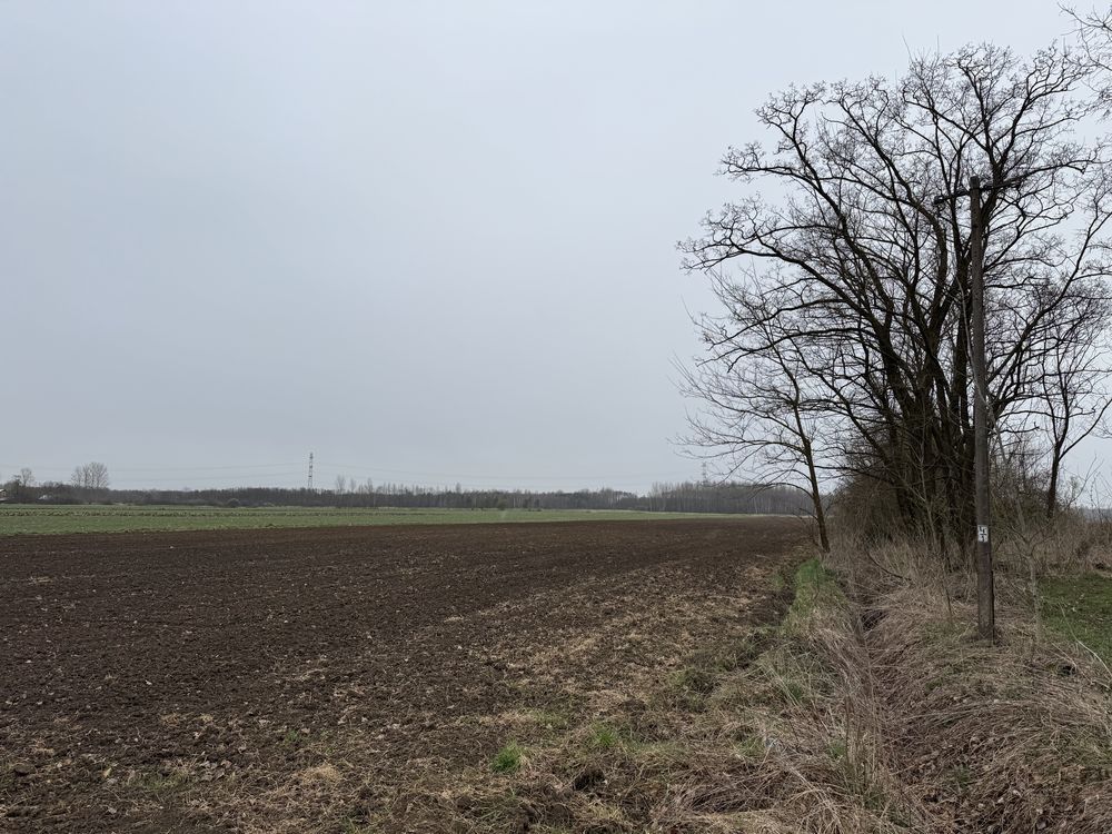 Działka rolno-budowlana Breń Osuchowski. Zdjęcie 7