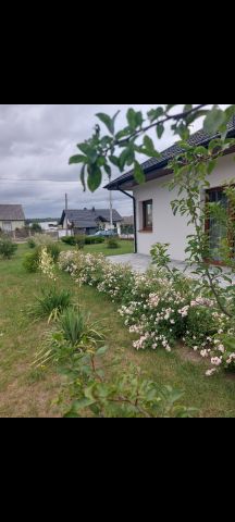 dom wolnostojący, 3 pokoje Sudół Sudół Dolny, Sudół. Zdjęcie 1