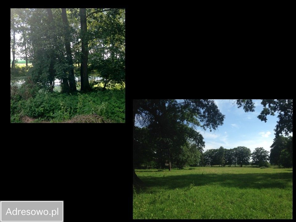 dworek Orenice. Zdjęcie 4