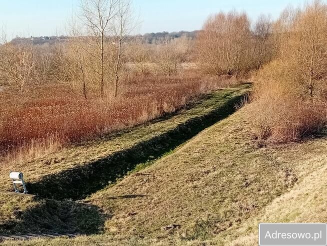 Działka rolna Parchatka. Zdjęcie 9