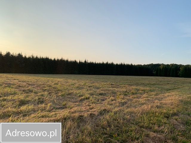 Działka rolna Rzystnowo. Zdjęcie 6