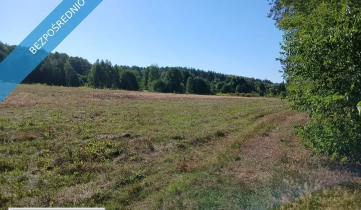 Działka rolno-budowlana Werdun, ul. Szkolna