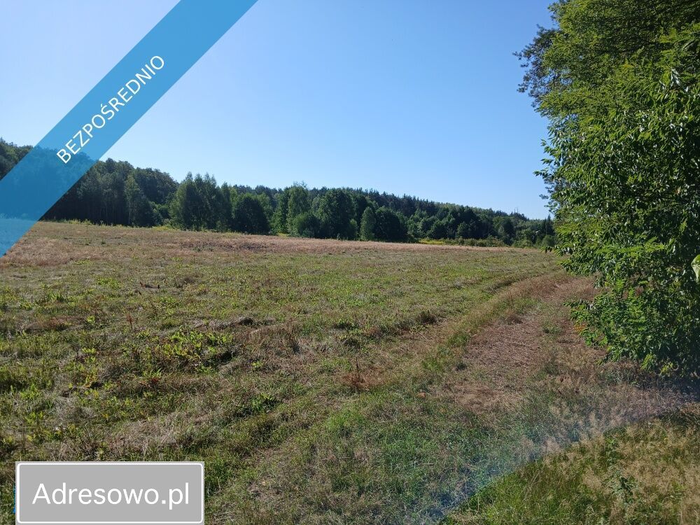 Działka rolno-budowlana Werdun, ul. Szkolna