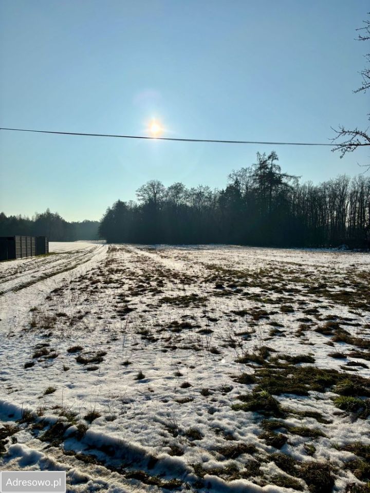 Działka budowlana Orła. Zdjęcie 4