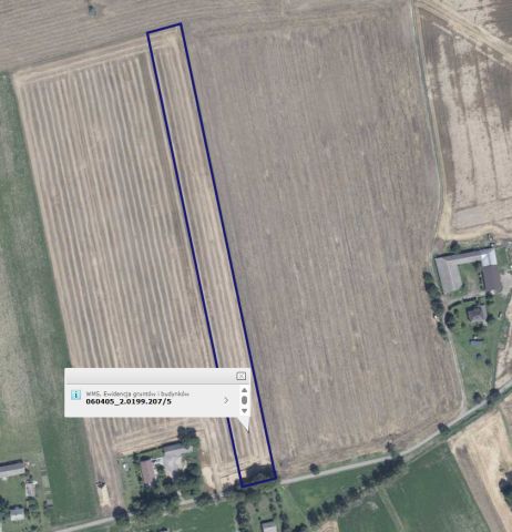 Działka rolna Modryń, Stawiska. Zdjęcie 1